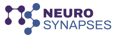 neuro-synapses-color